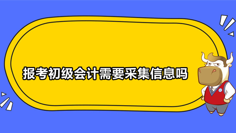 報考初級會計需要采集信息嗎